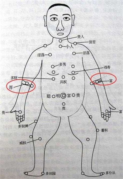 手臂內側有痣|手上長痣圖解大全